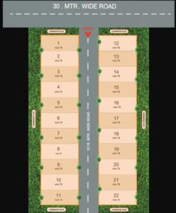 regalia3 layout 2 248x300